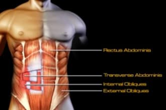 tell u best abs exercises and assist also
