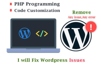 do PHP bugs fixing and custom code in wordpress