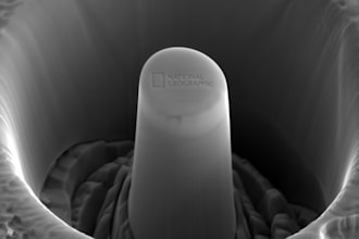 carry out microscopy and micromechanical testing for you