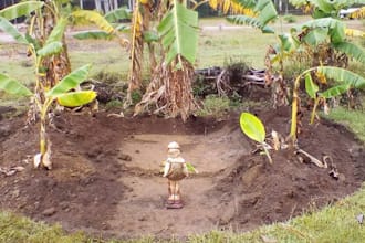 help you learn permaculture