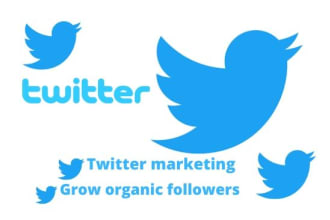 do the best twitter marketing and grow organic followers