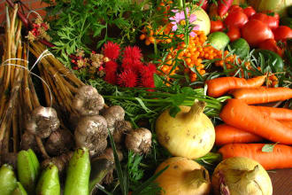 write organic farming and gardening articles, blogs, and recommendations for you
