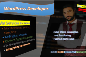 do website modifications, maintenance, and redesign your website