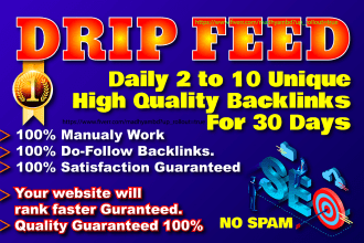 give 30 days high quality drip feed SEO backlinks building service manually