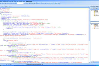 write or debug a php script for you with any functionality in 24hours