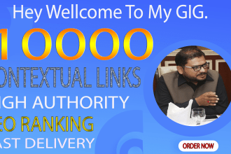 make 10,000 contextual backlinks high sites