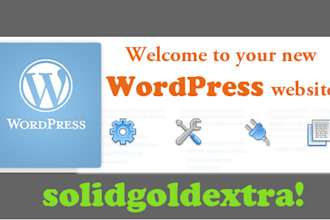 install WordPress Website Theme and Plugins