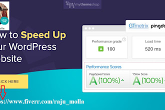 do wordpress speed optimization within 24 hours with gtmetrix