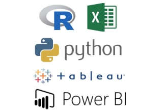 do machine learning, data analysis in python, r, tableau, power bi, excel