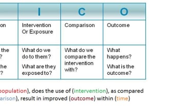 assist with picot, peo, and spice questions for research