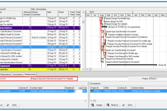 be your business analyst and project manager