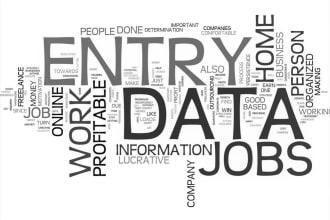 complete your any type of data entry work
