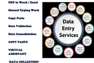 format, redesign, data collection and processing edit word, excel files