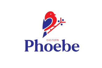 do modern political campaign logo design