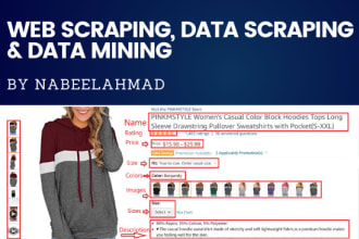 do web scraping, data mining and data extraction