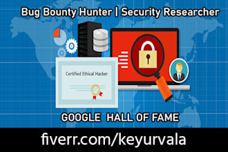 do penetration testing and provide the report