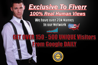 bring USA targeted traffic for your niche