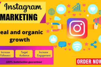 promote your business on my instagram account