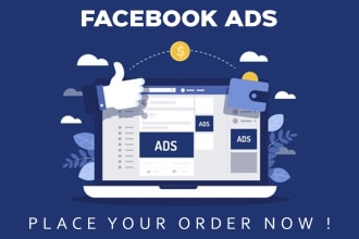 setup facebook, instagram ads campaign to grow your business