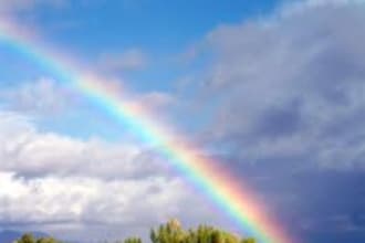 give you a personal forecast for your wedding or other special day or outside event