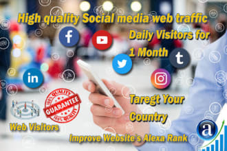 drive real website traffic from social media for 1 month