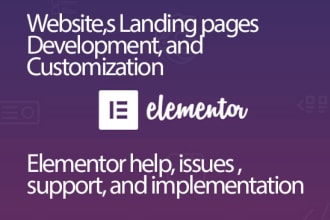 do elementor wordpress website development and modifications