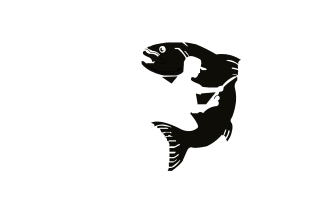 create silhouette anything vector for you