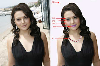photo editing illustration expert