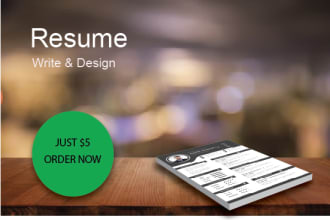 design attractive professional resume for you