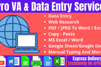 be your pro virtual assistant for any type of data entry