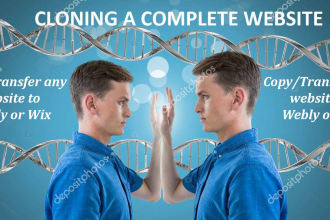 copy,transfer,clone any site on wix or weebly