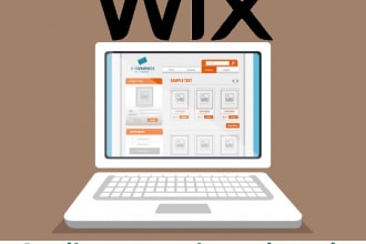 update your wix and weebly site