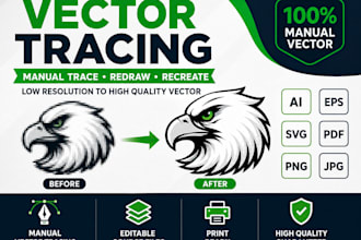 manually recreate logo, images to vector