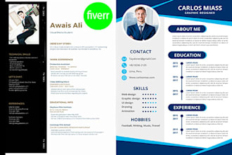 design and edit resumes,professional CV making,job apply