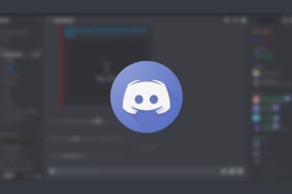 setup a professional discord server
