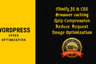 do wordpress speed optimization of website or page professionally