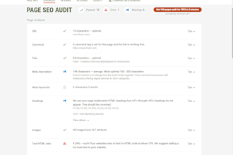 create SEO audit report for your web site
