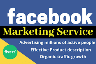 provide facebook marketing services to bring USA traffic