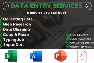 do professional data entry, excel services fast and accurate