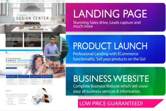 do web design and build professional website or landing page