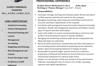 craft your finance professional resume and cover letter
