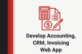 develop accounting, crm, invoicing web app from your excel