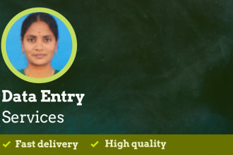 do ultimate professional data entry work within 3 hrs