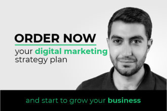 build a digital marketing strategy plan based on your needs