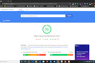 do wordpress speed optimization 90 score google page speed