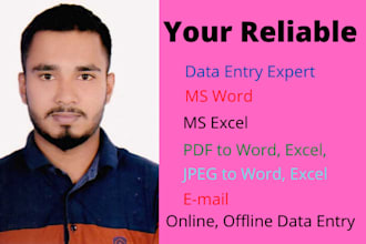 do data entry expert ,ms word, ms excel, PDF to word convert
