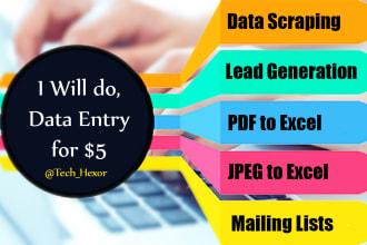 do data entry, data scraping and excel data entry
