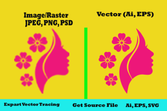 do vector tracing convert to vector redraw logo in 24 hour