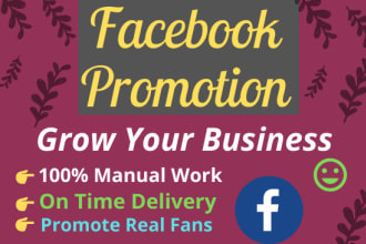 promote your business by facebook to a large audience