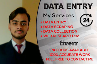do professional data entry accurately and quickly